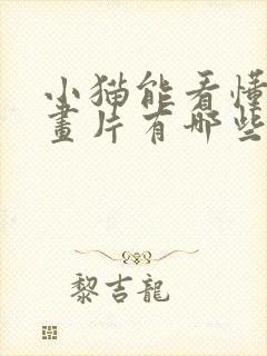 小猫能看懂的动画片有哪些