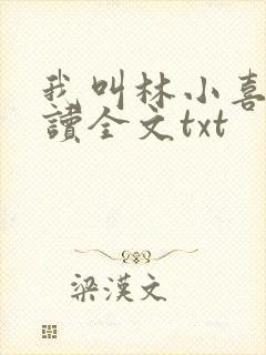 我叫林小喜全阅读全文txt