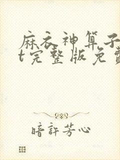 麻衣神算子txt完整版免费