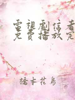 电视剧信者无敌免费播放完整版全集