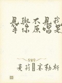 见与不见我都在等你原唱是谁唱的