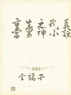 重生之我真没想当男神小说完整版