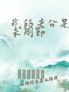 我的老公是冥王未删节