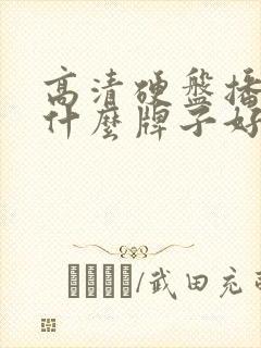 高清硬盘播放器什么牌子好