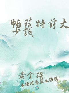 帕萨特前大灯多少钱