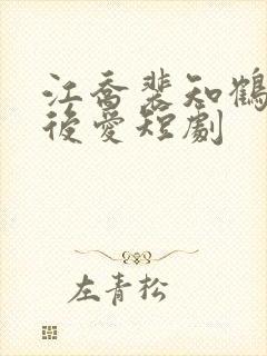 江乔裴知鹤先婚后爱短剧