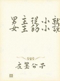 男主从小就喜欢女主的小说
