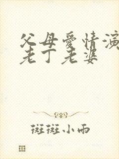 父母爱情演员表老丁老婆