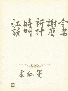 江时祈谢令窈小说叫什么名字