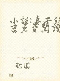 小说:妻子的秘密免费阅读