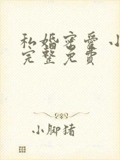 私婚密爱 小说完整免费