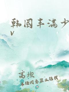 韩国丰满少妇av