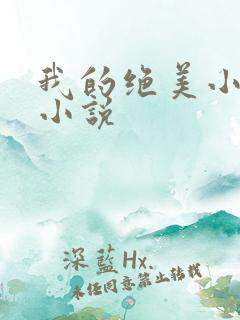 我的绝美小娇妻小说