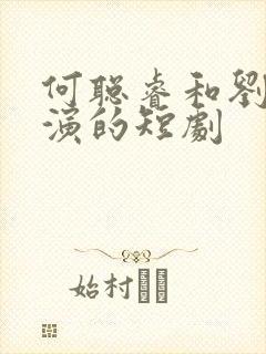 何聪睿和刘念主演的短剧