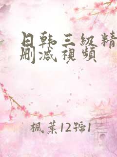 日韩三级精品无删减视频