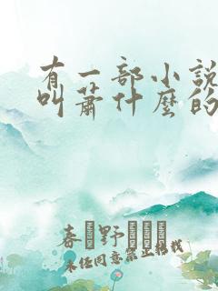 有一部小说主角叫萧什么的