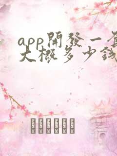 app开发一套大概多少钱