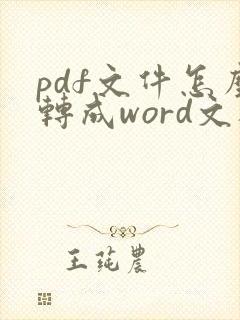 pdf文件怎么转成word文档