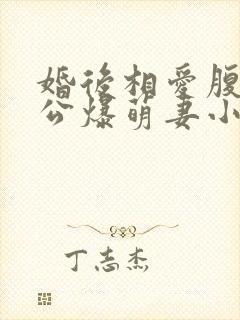 婚后相爱腹黑老公爆萌妻小说