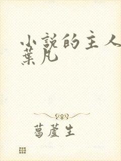 小说的主人公叫叶凡