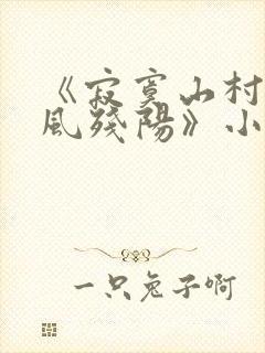 《寂寞山村恋上风残阳》小说