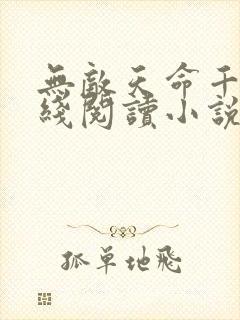无敌天命千千在线阅读小说