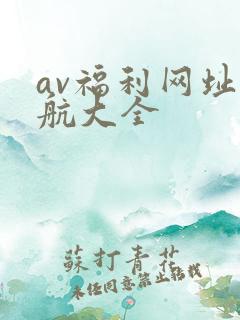av福利网址导航大全