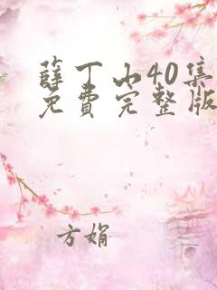 薛丁山40集全免费完整版