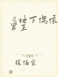 《地下偶像》双男主