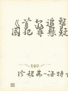 《首尔追击》韩国犯罪悬疑电影