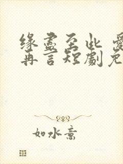 缘尽至此 爱不再言短剧免费观看全集