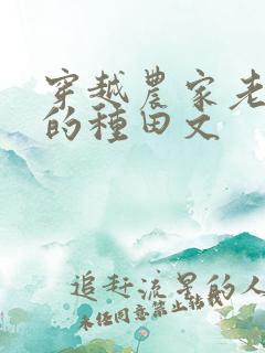 穿越农家老闺女的种田文