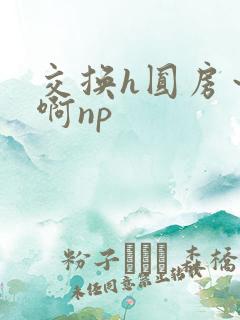交换h圆房～嗯啊np