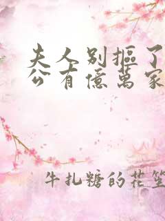 夫人别抠了你老公有亿万家产免费