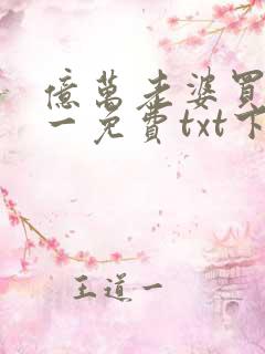 亿万老婆买一送一免费txt下载