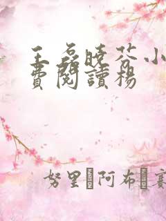 王磊晓芬小说免费阅读杨