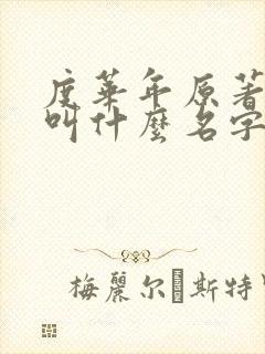 度华年原著小说叫什么名字