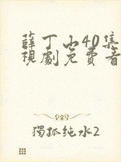 薛丁山40集电视剧免费看