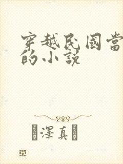 穿越民国当文人的小说