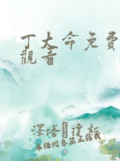 丁大命免费在线观看