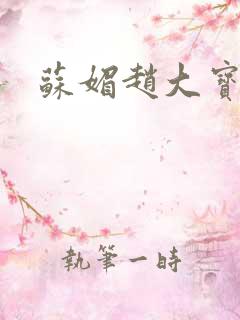 苏媚赵大宝儿媳
