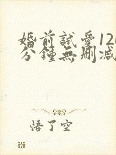 婚前试爱120分钟无删减