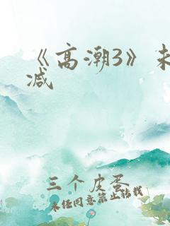 《高潮3》未删减