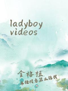 ladyboyvideos