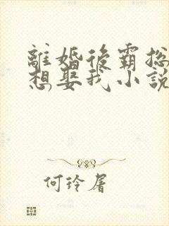 离婚后霸总天天想娶我小说免费看