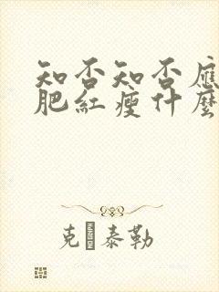 知否知否应是绿肥红瘦什么朝代
