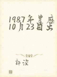 1987年农历10月23日出生五行