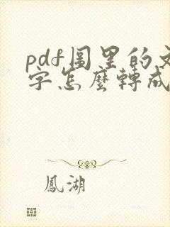 pdf图里的文字怎么转成可编辑的