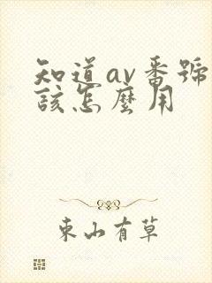 知道av番号后该怎么用