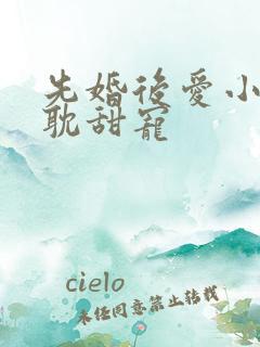 先婚后爱小说原耽甜宠